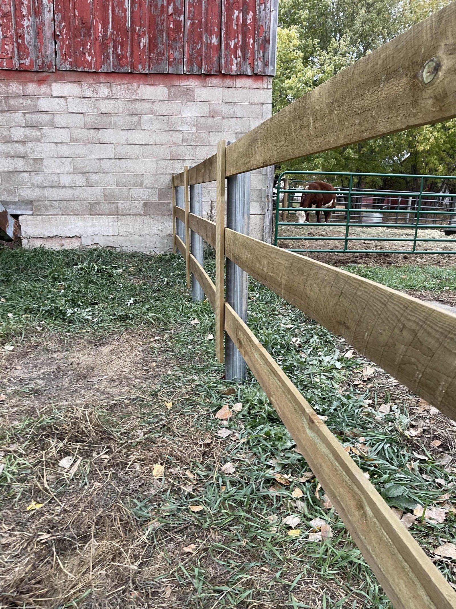 Ranch Fence Project